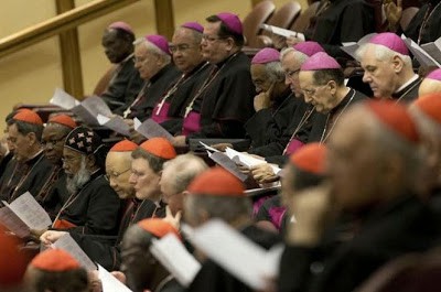 vatikaneios synodos 2014 01