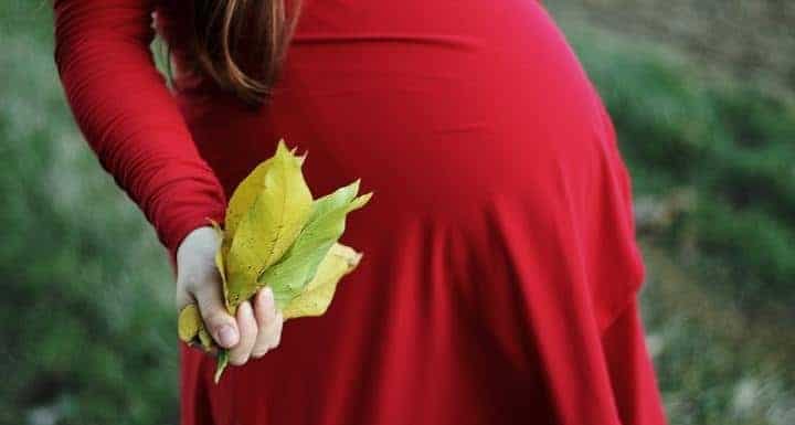 baby bump dry leaves leaves mother person pregnant 01